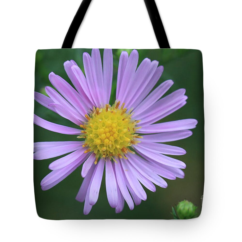 Blossom Tote Bag featuring the photograph Purple Flower by Amanda Mohler