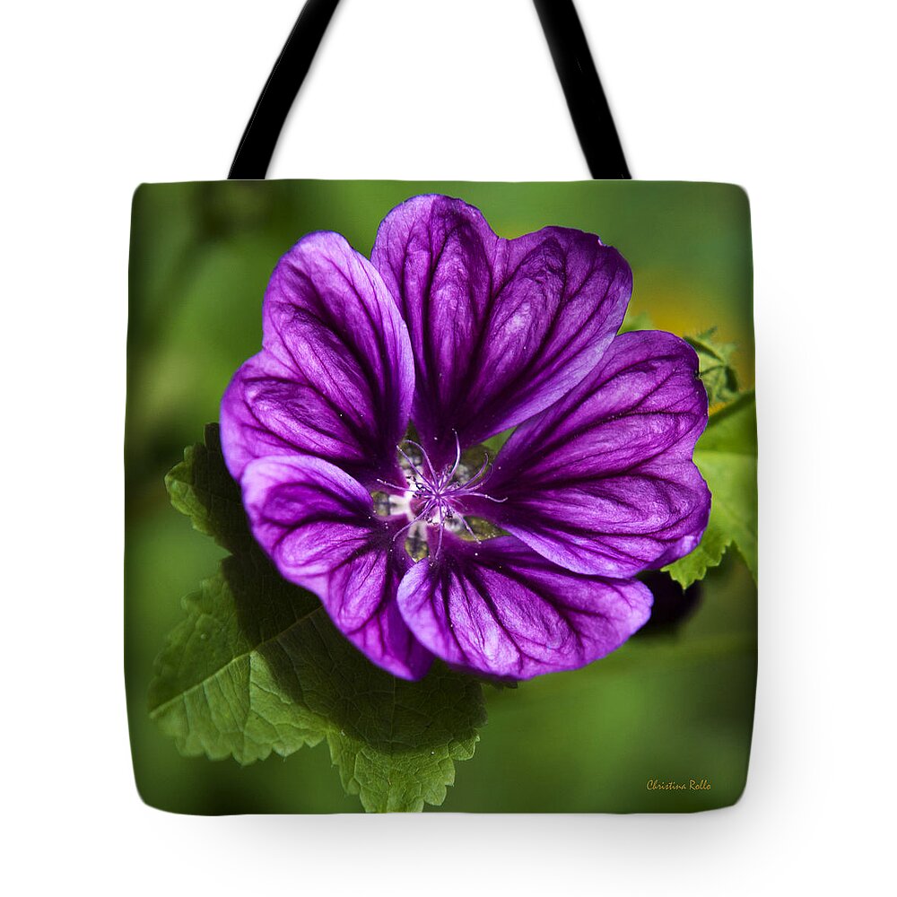 Hollyhock Tote Bag featuring the photograph Purple Flower Hollyhock by Christina Rollo