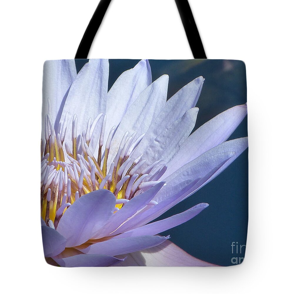 Flower Tote Bag featuring the photograph Purple Glory II by Marguerita Tan