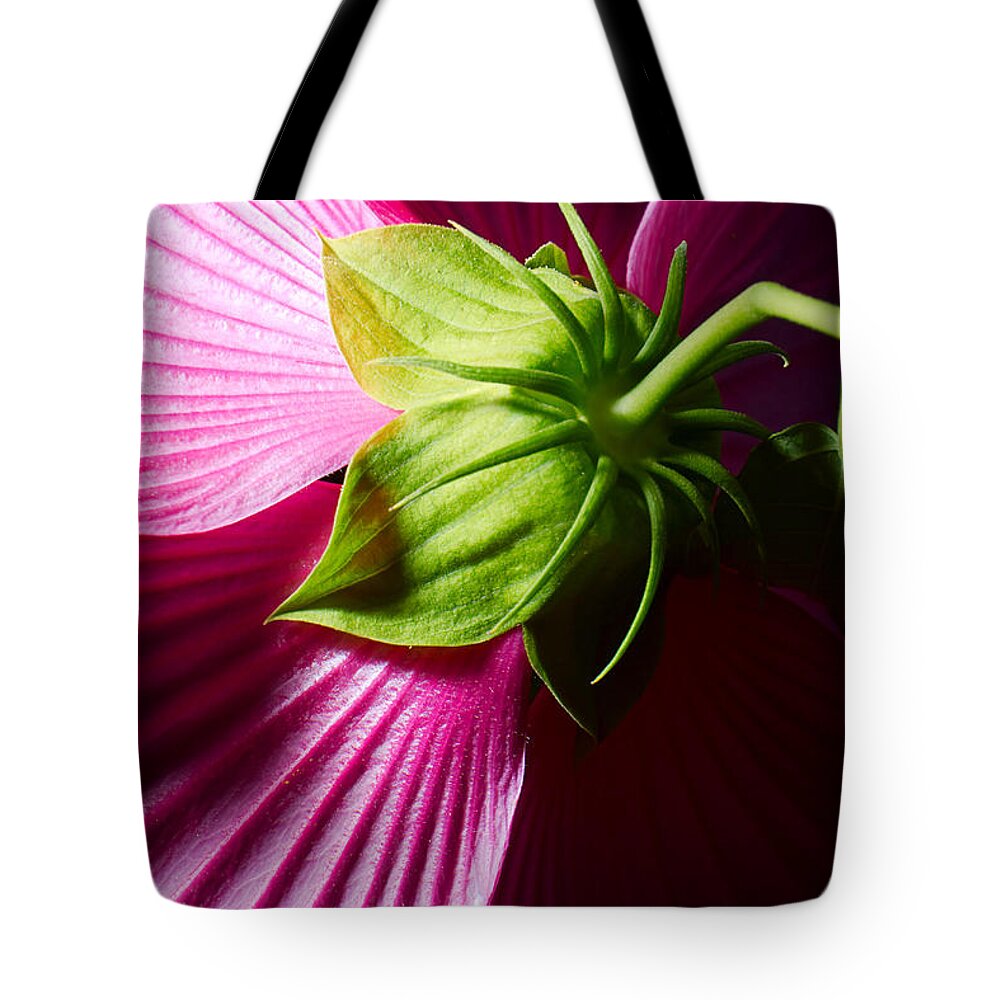 Beauty In Nature Tote Bag featuring the photograph Purple Hibiscus shot from behind. by Jan Brons