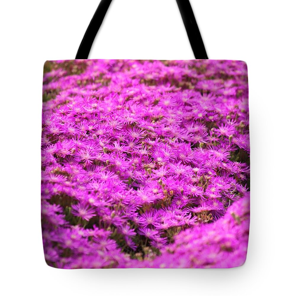 Purple Noon-flower Tote Bag featuring the photograph Purple Hills by Amy Gallagher
