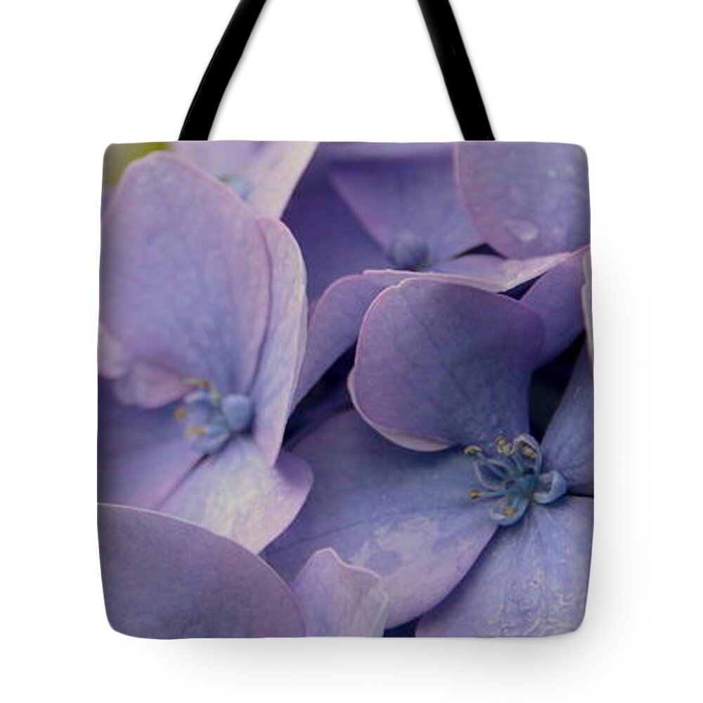 Flower Tote Bag featuring the photograph Purple Hydrangea by Amanda Mohler