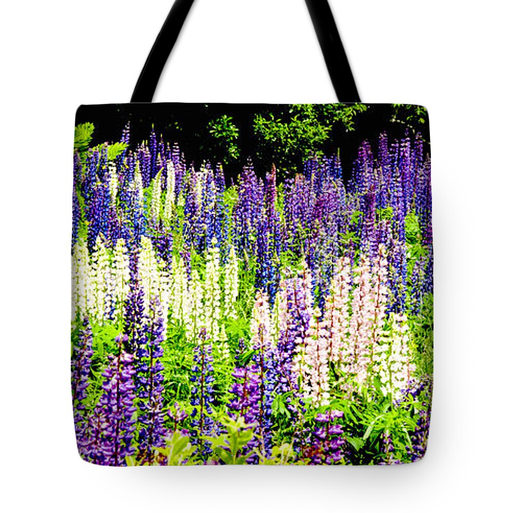 Crawford Notch Tote Bag featuring the photograph Purple Interrupted by Greg Fortier