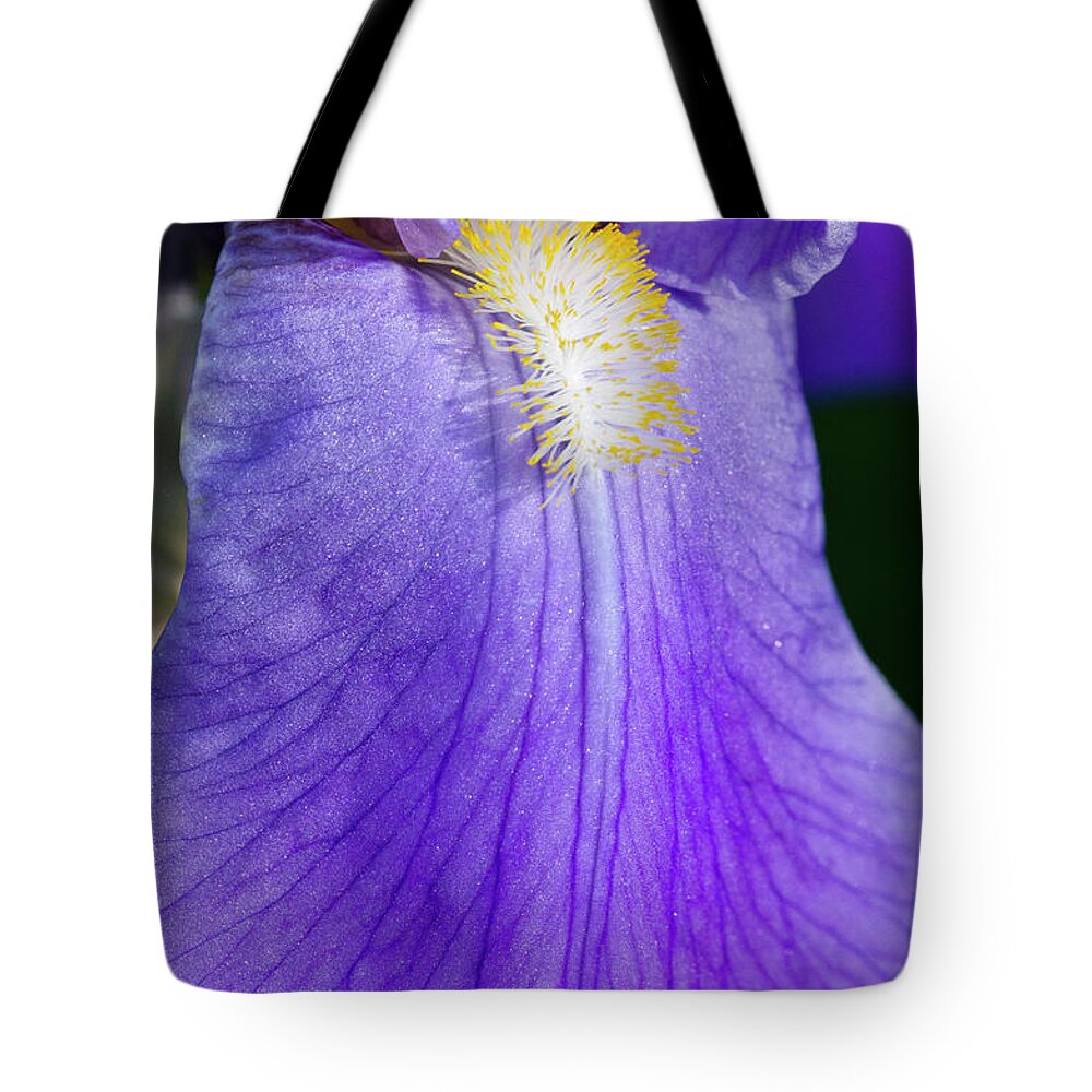 Purple Iris Tote Bag featuring the photograph Purple Iris by Crystal Wightman