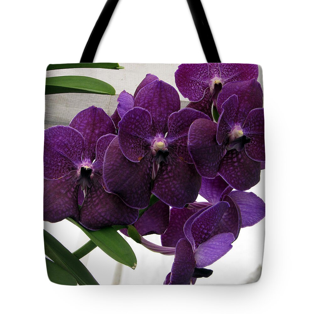 Purple Orchid Tote Bag featuring the photograph Purple Me Not by Debi Singer