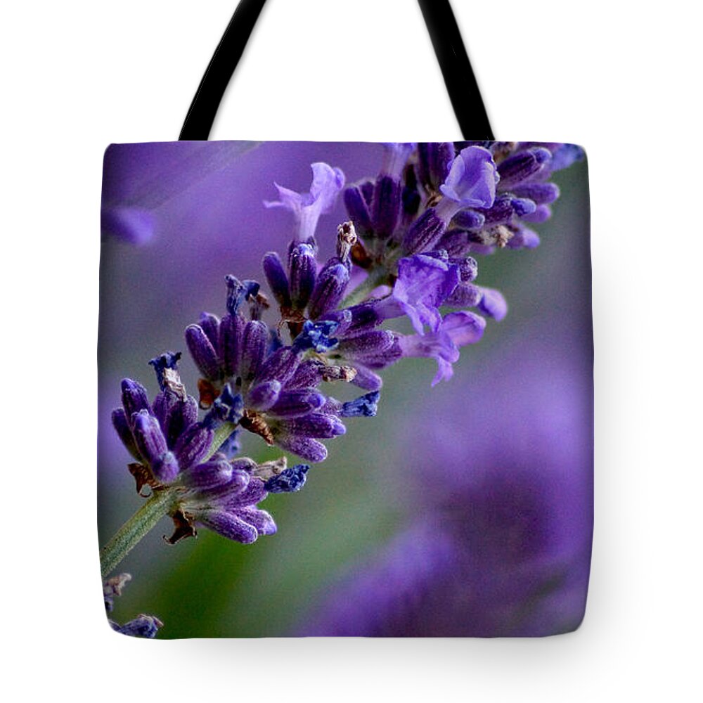 Blumen Tote Bag featuring the photograph Purple Nature - Lavender Lavandula by Eva-Maria Di Bella