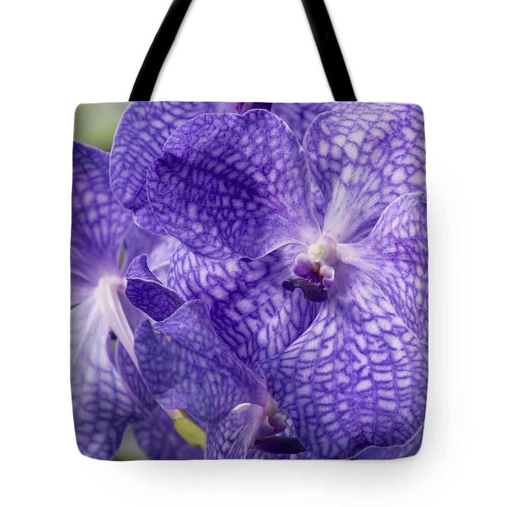Orchids Tote Bag featuring the photograph Purple orchids by Elena Perelman