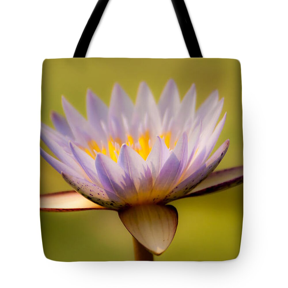 Africa Tote Bag featuring the photograph Purple promise by Alistair Lyne