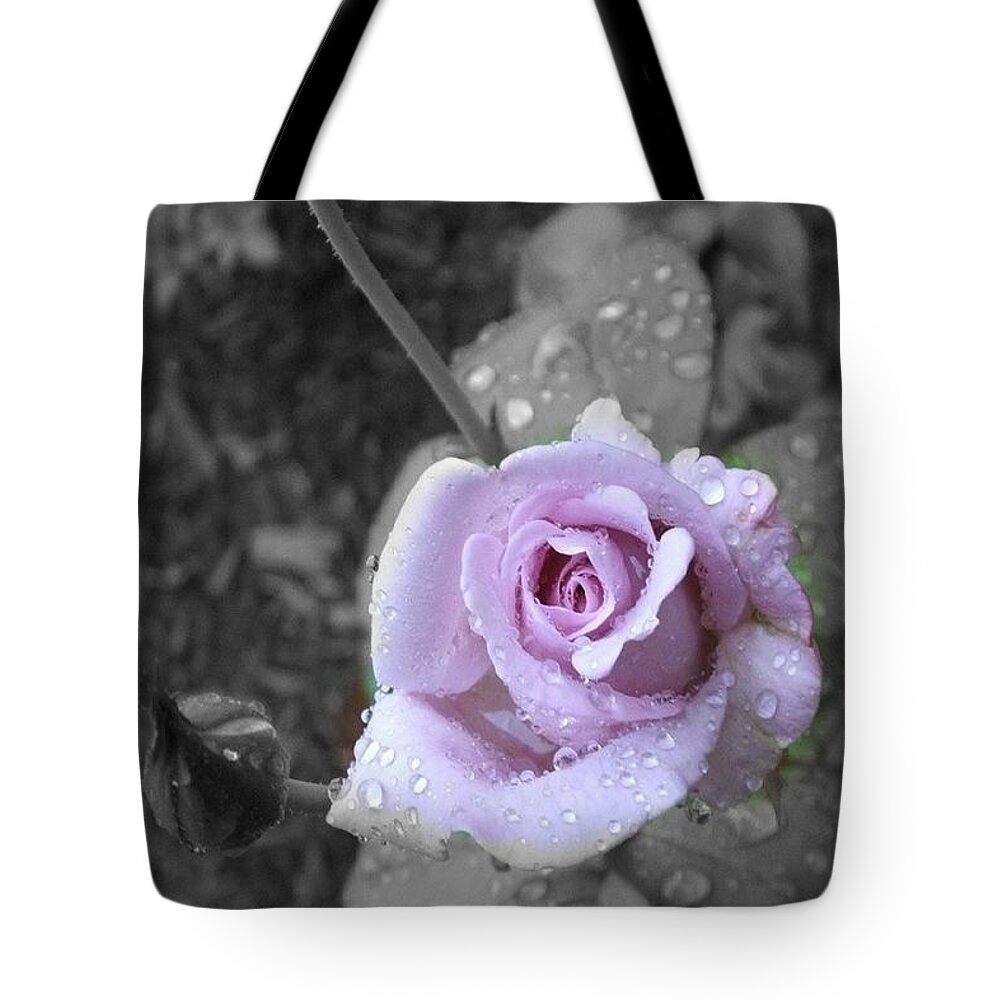 Rose Tote Bag featuring the photograph Purple Rain by Marian Lonzetta