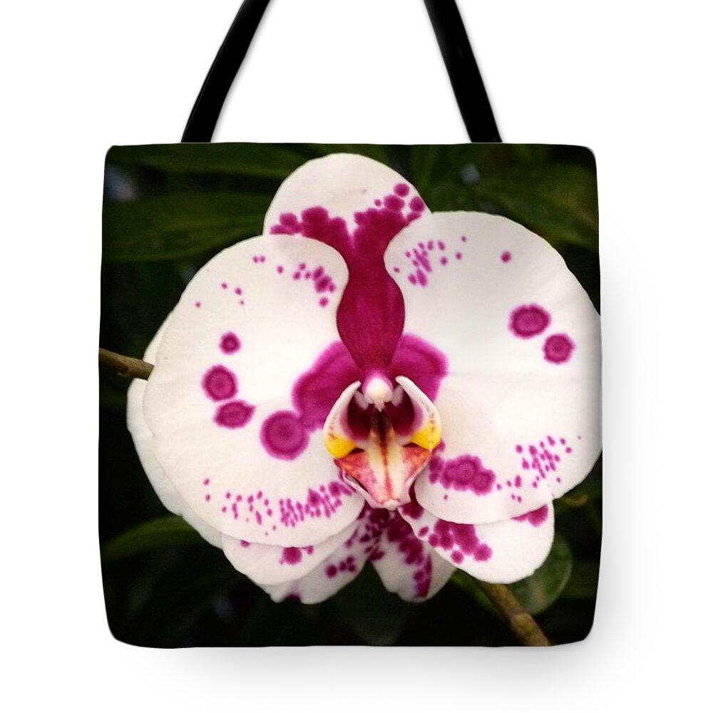 Phalaenopsis Tote Bag featuring the photograph Purple Spotted Orchid by Richard Bryce and Family