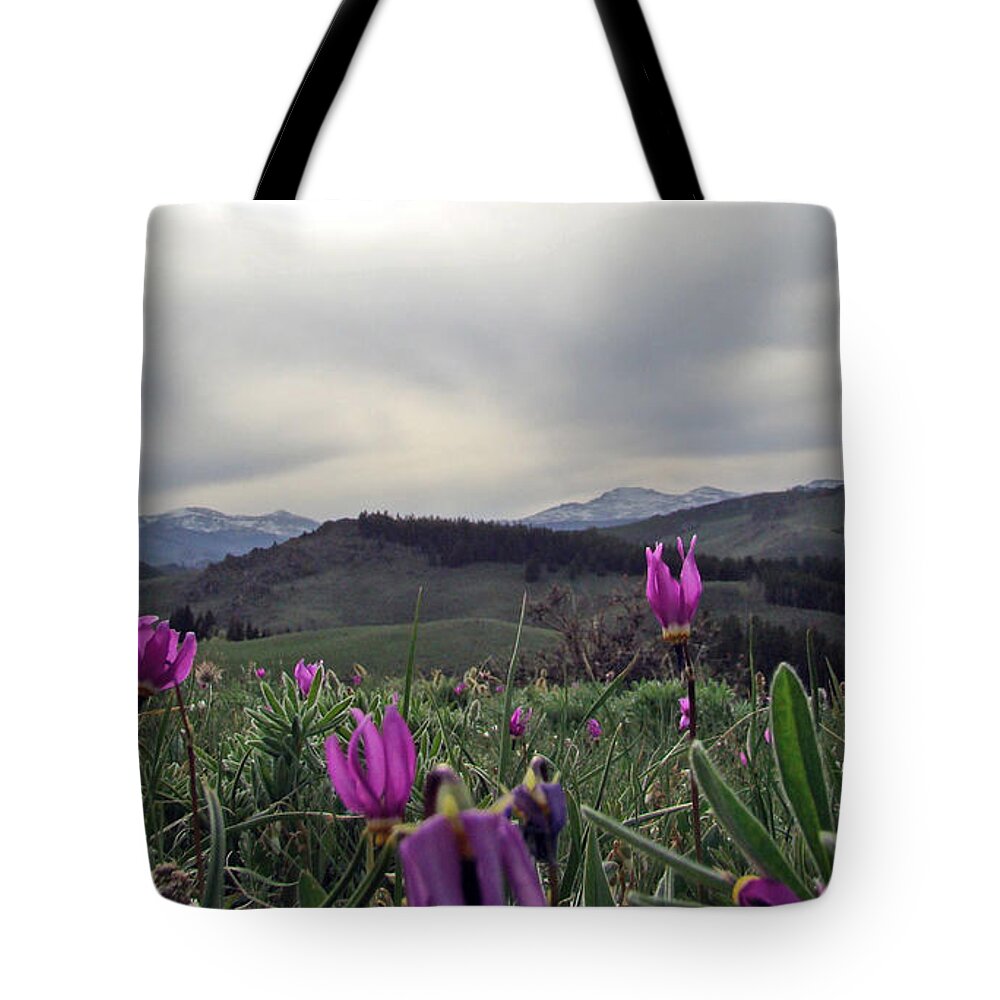 Flowers Tote Bag featuring the digital art Purple Spring in the Big Horns by Cathy Anderson