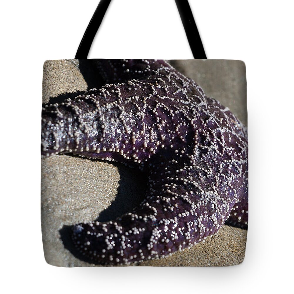 Beach Tote Bag featuring the photograph Purple Starfish by Sonny Marcyan