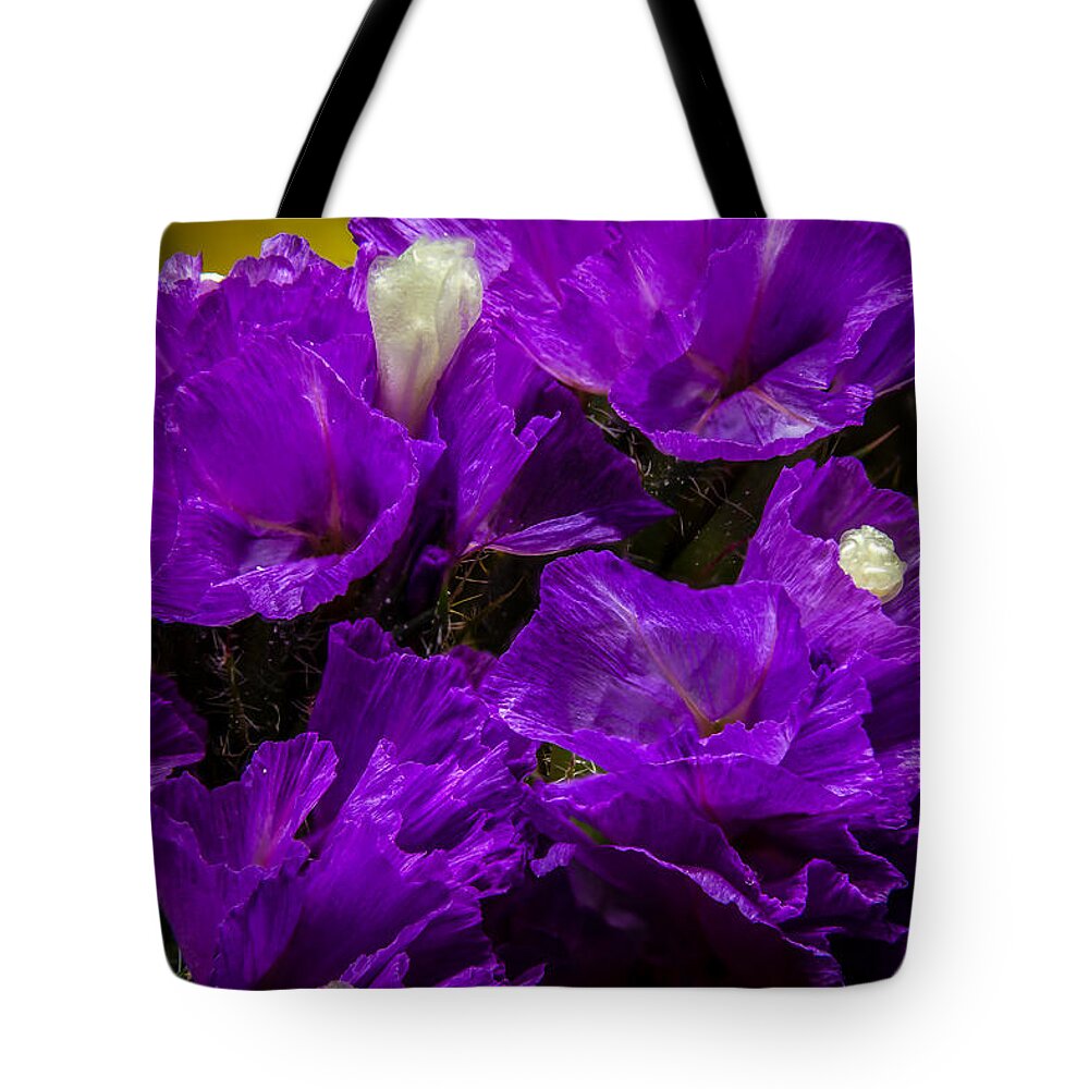Flower Tote Bag featuring the photograph Purple Statice by Ron Pate