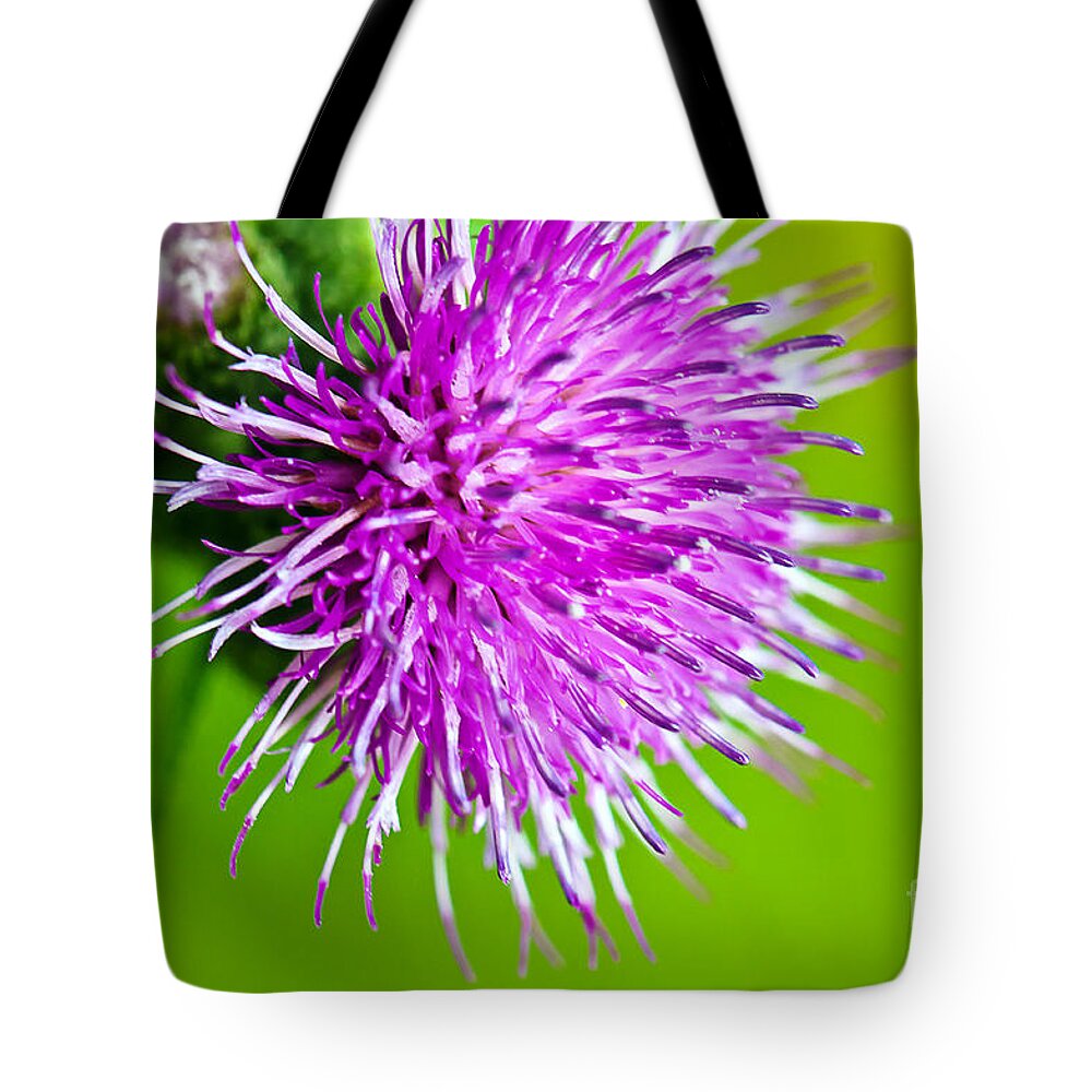 Wildflowers Tote Bag featuring the photograph Purple Thistle by Gwen Gibson