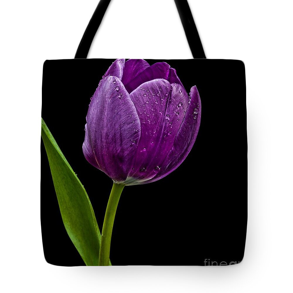 Flower Tote Bag featuring the photograph Purple Tulip by Shirley Mangini