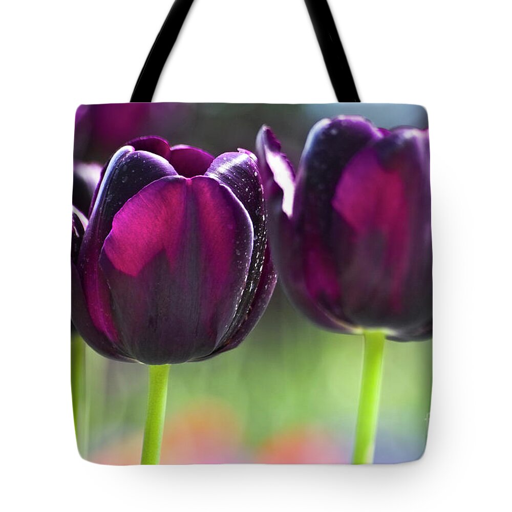 Tulip Tote Bag featuring the photograph Purple tulips by Heiko Koehrer-Wagner
