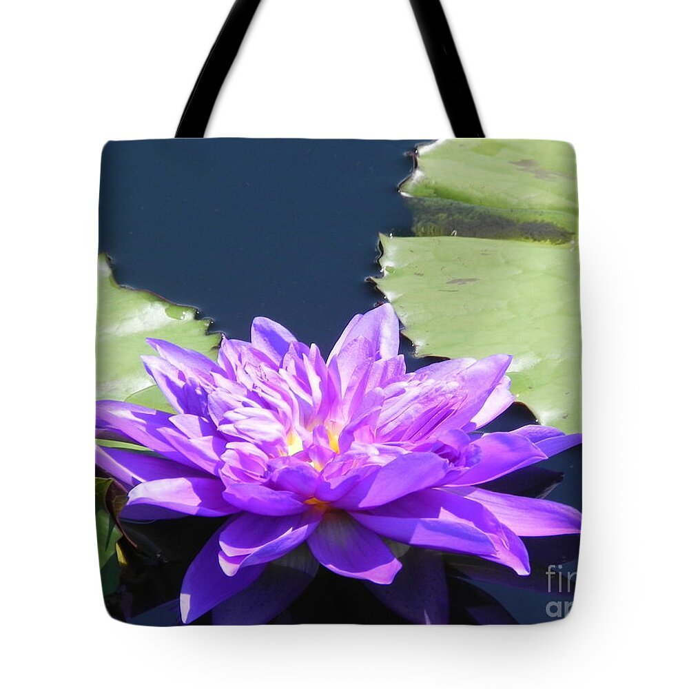 Photograph Tote Bag featuring the photograph Purple Waterlilie Flower by Chrisann Ellis
