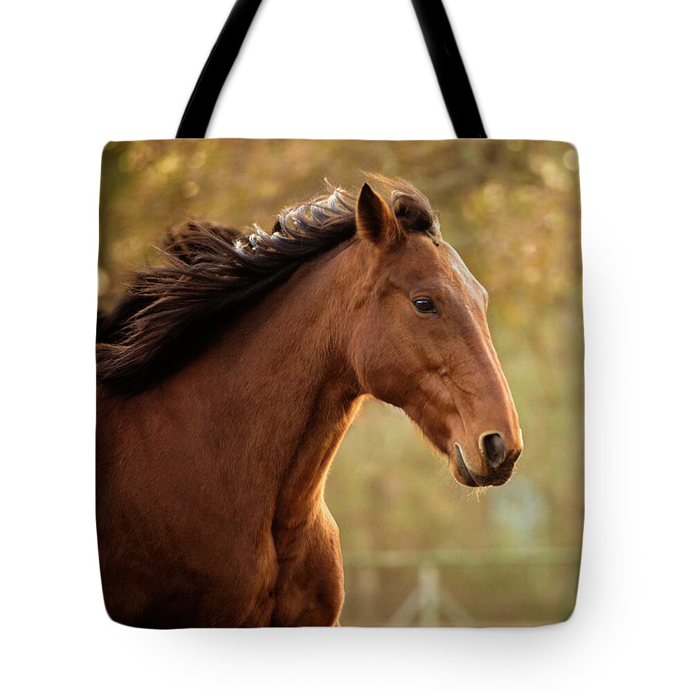 Horse Tote Bag featuring the photograph Quarter Horse Running by Lisa Van Dyke