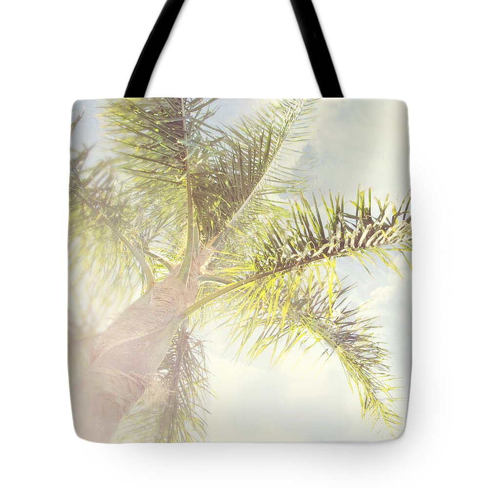 Palm Tote Bag featuring the photograph Queen palm by Cindy Garber Iverson
