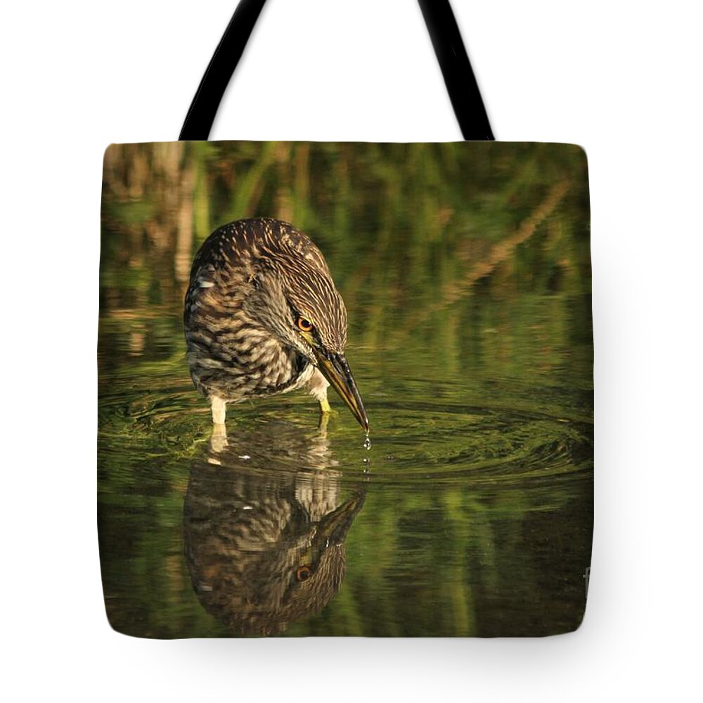 Bird Tote Bag featuring the photograph Quench by Heather King