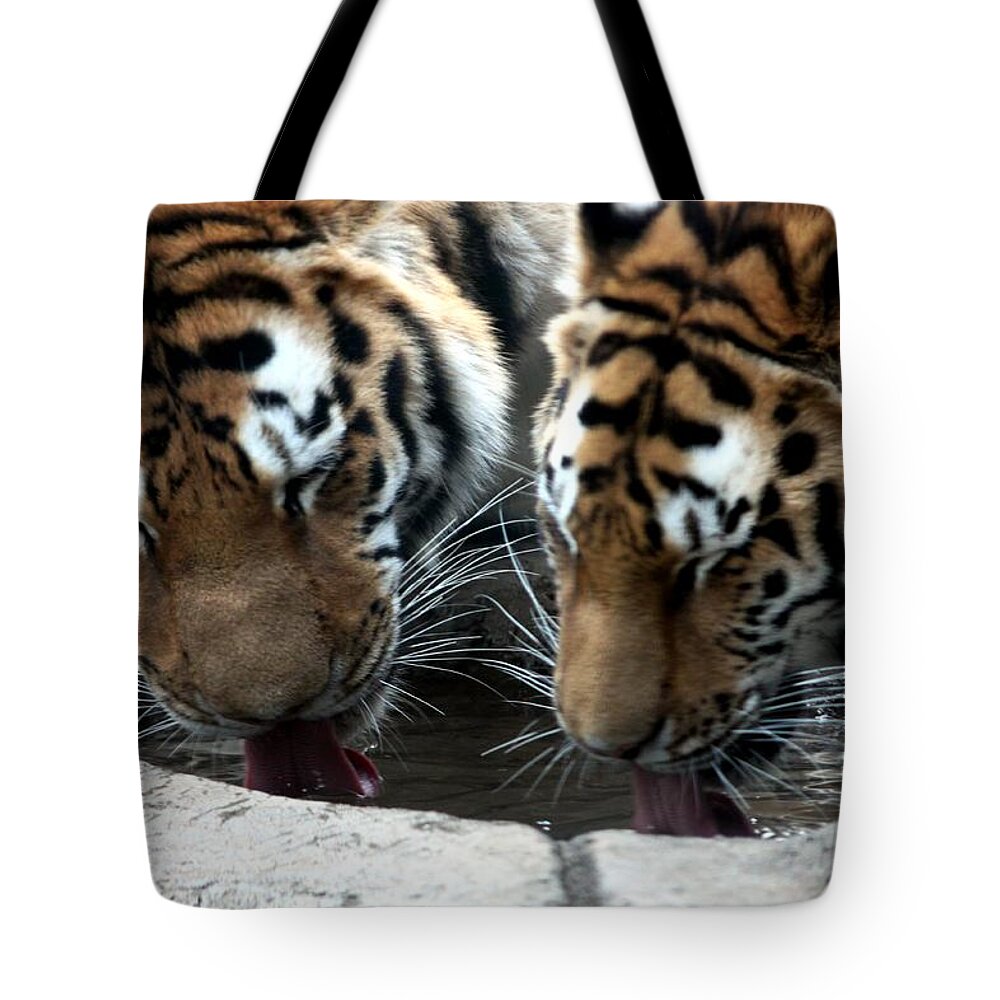 Thirst Tote Bag featuring the photograph Quench The Thirst... by Ramabhadran Thirupattur