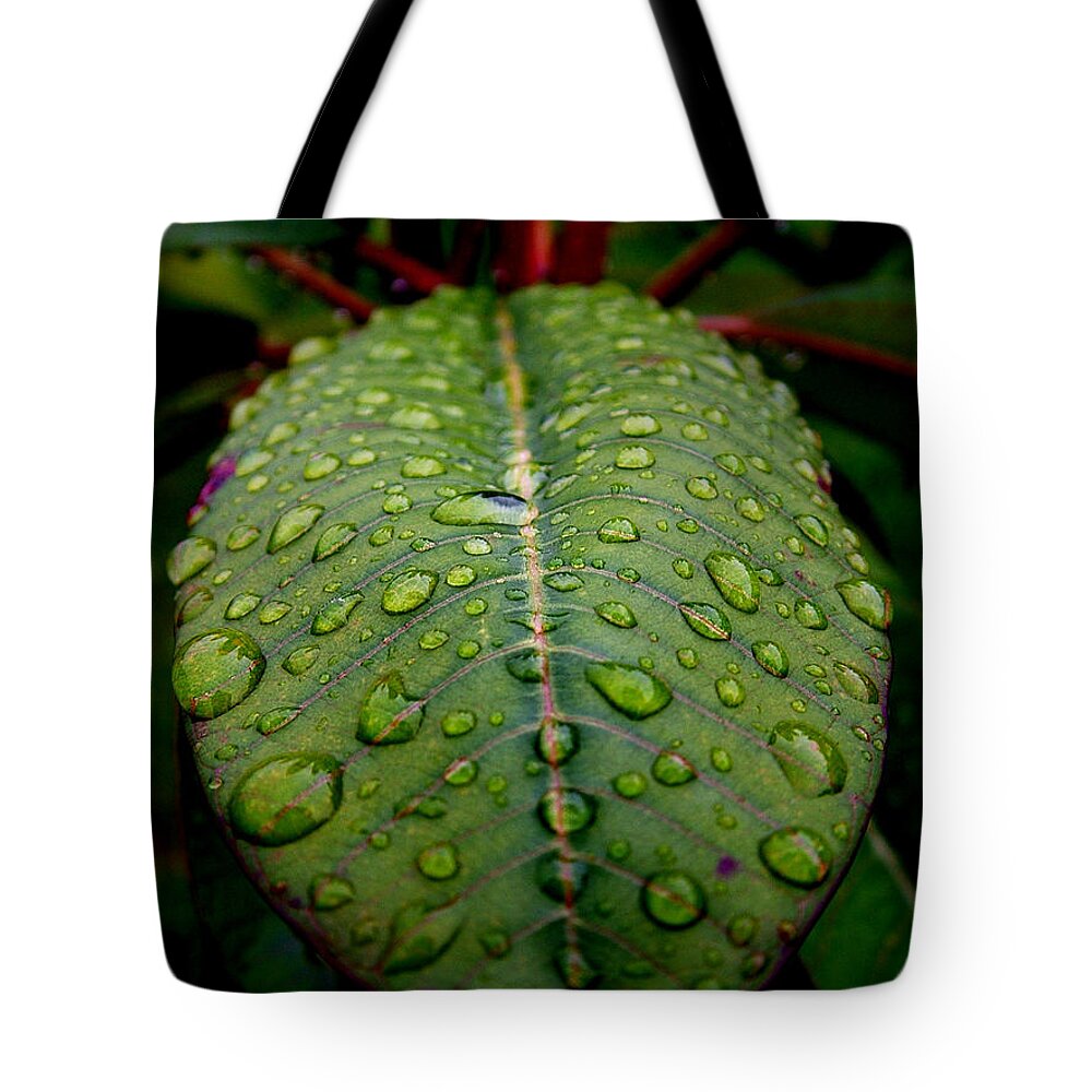 Leaf Tote Bag featuring the photograph Quenched by David Weeks