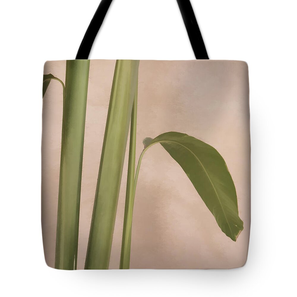 Cool Tote Bag featuring the photograph Quietly by Carol Leigh