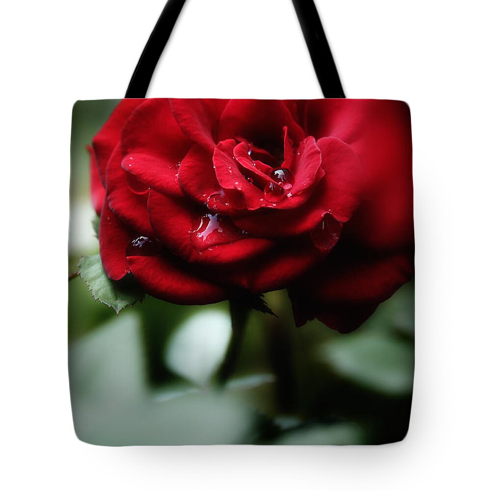 Red Rose Tote Bag featuring the photograph Quietly My Tears Fall by Michael Eingle