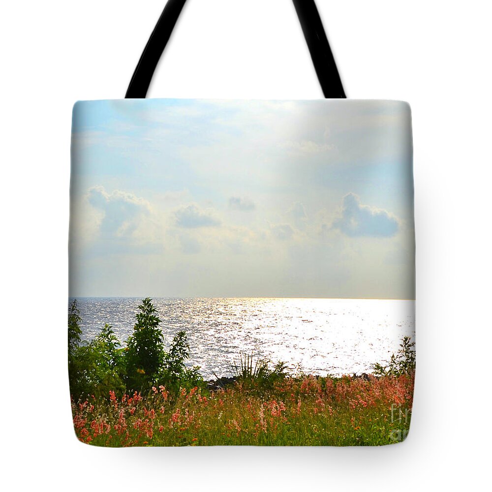 Quietude Tote Bag featuring the photograph Quietude by Darla Wood