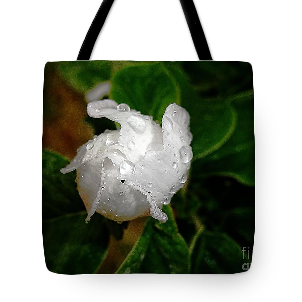 Quince Tote Bag featuring the photograph Quince bud after rain by Amalia Suruceanu