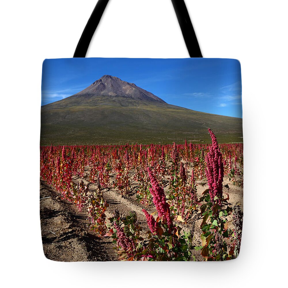 Quinoa Tote Bag featuring the photograph Quinoa Field Chile by James Brunker