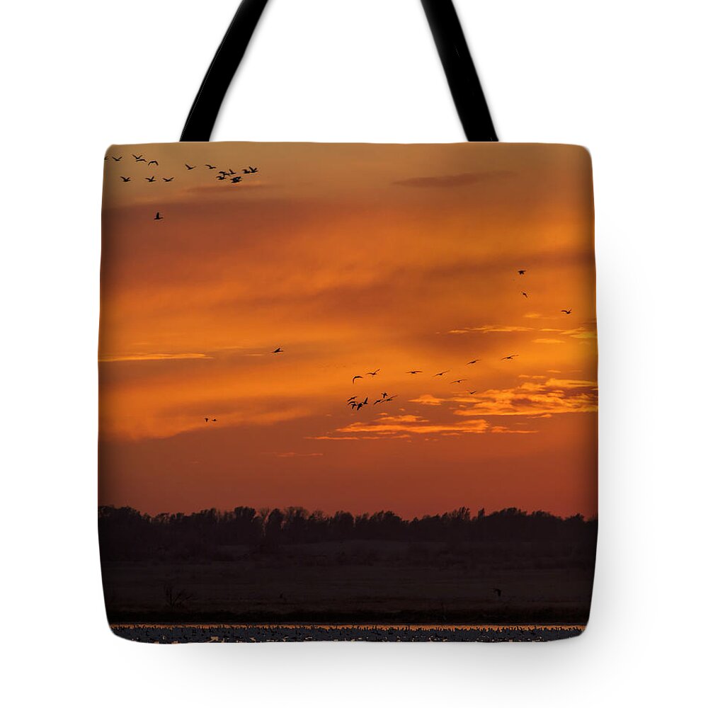 Kansas Tote Bag featuring the photograph Quivira Sunset 1 by Rob Graham