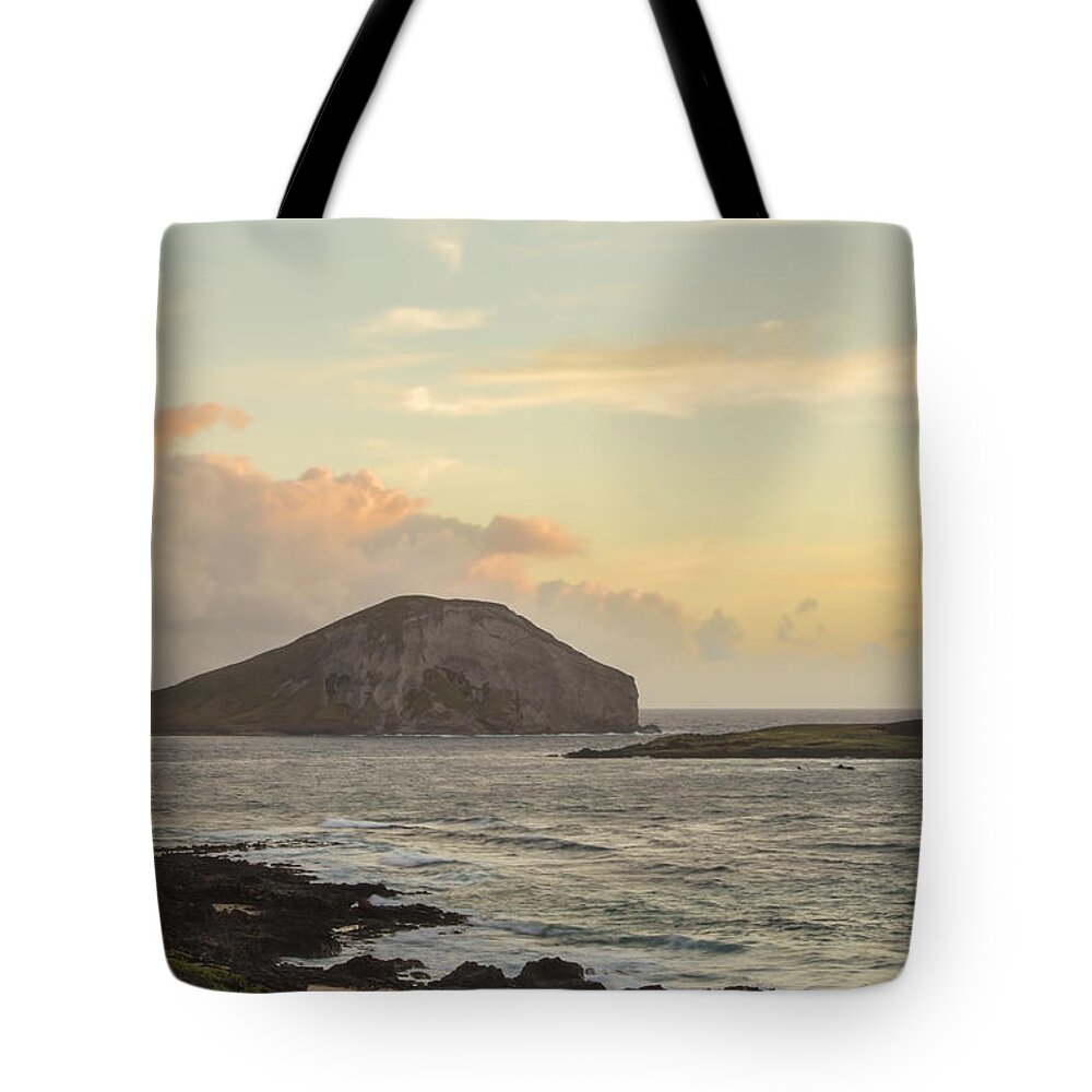 Beautiful Tote Bag featuring the photograph Rabbit and Turtle Island at Sunrise 1 by Leigh Anne Meeks