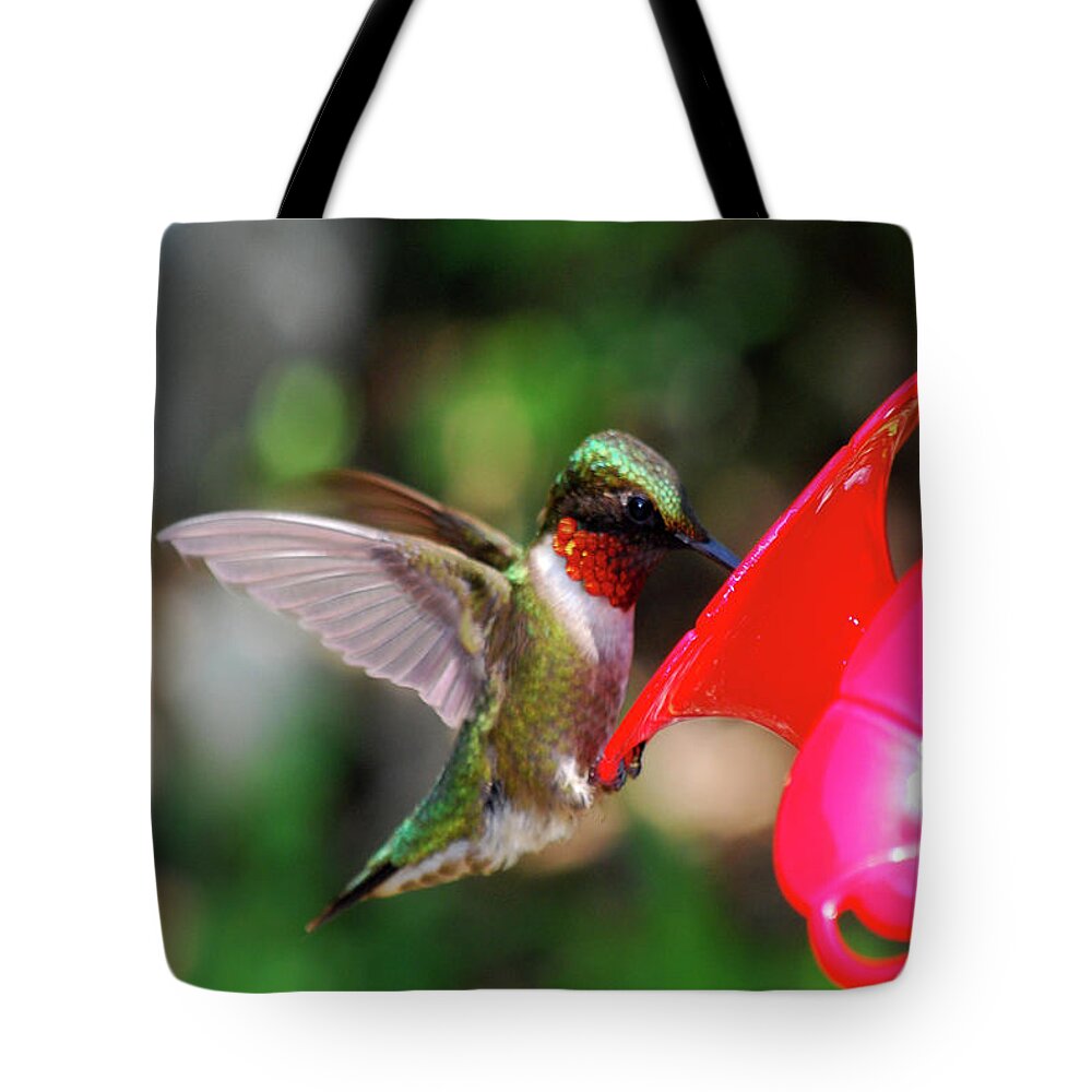 Hummingbird Tote Bag featuring the photograph Radiant Ruby by Lori Tambakis