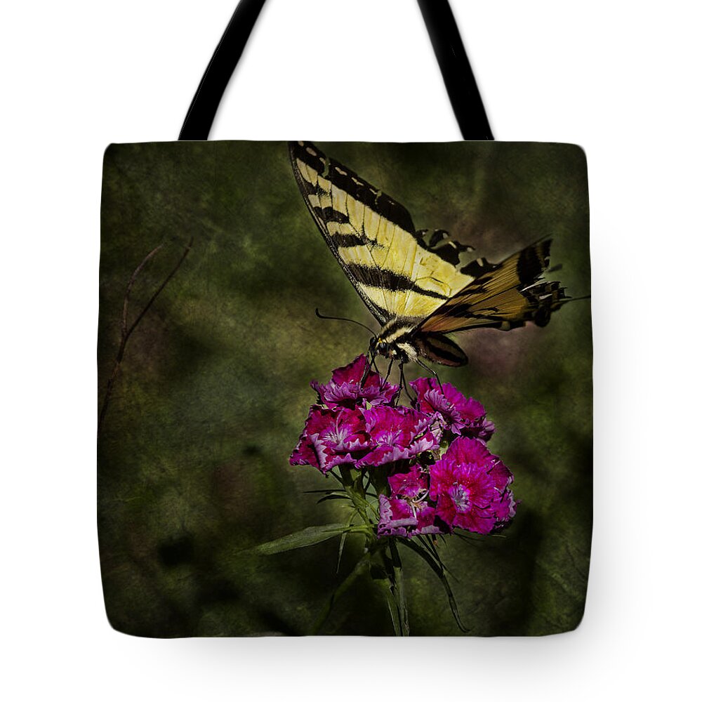 Butterfly Tote Bag featuring the photograph Ragged Wings by Belinda Greb