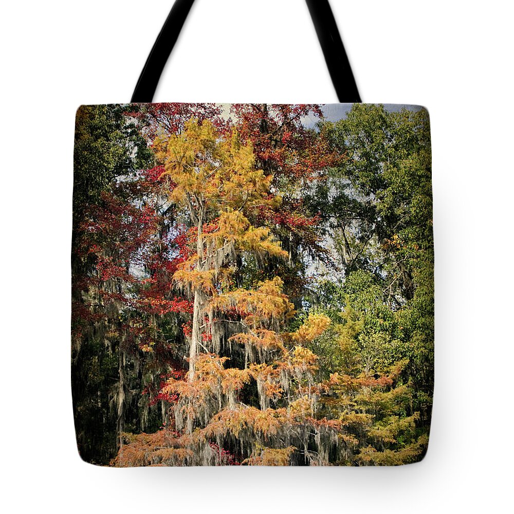 Autumn Tote Bag featuring the photograph Raggedy Bayou by Lana Trussell