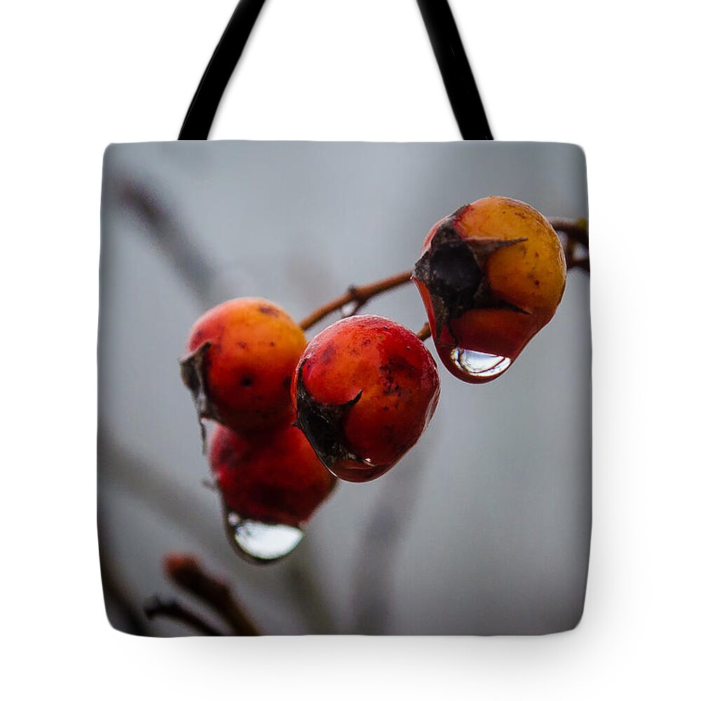 Turkey Brook Park Tote Bag featuring the photograph Rain Berries I by GeeLeesa Productions