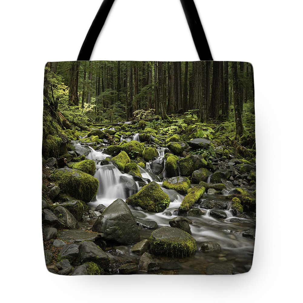 Rain Forest Tote Bag featuring the photograph Rain Forest Falls by Jonathan Davison