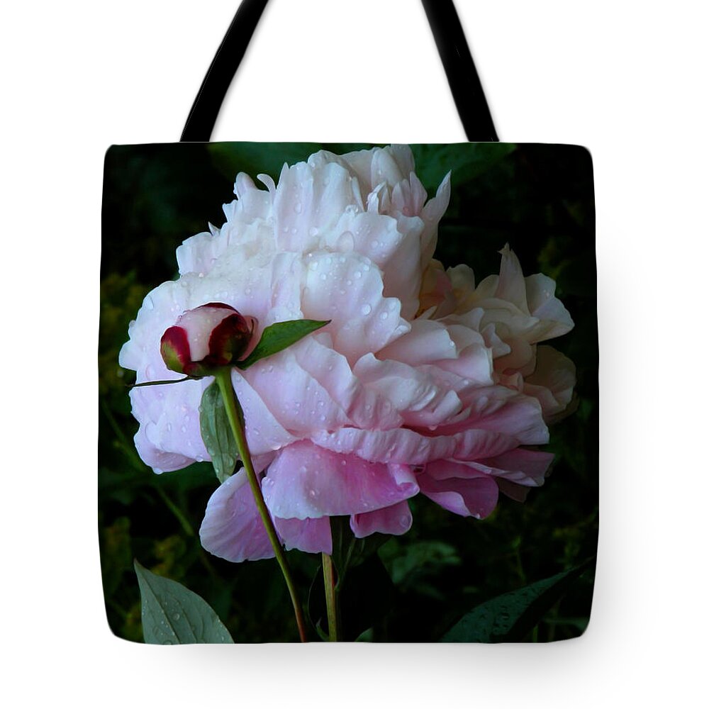 Peony Tote Bag featuring the photograph Rain-soaked Peonies by Rona Black