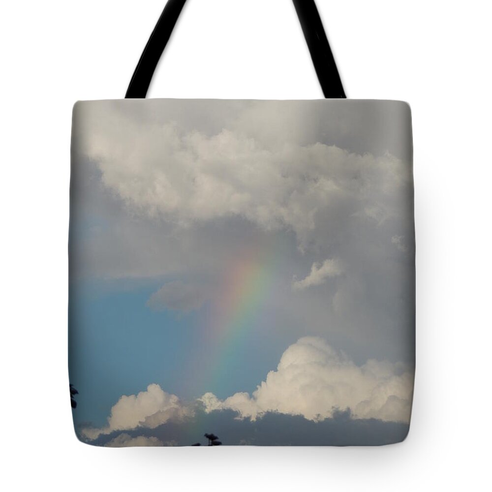 Rainbow Tote Bag featuring the photograph Rainbow by Diane Lesser