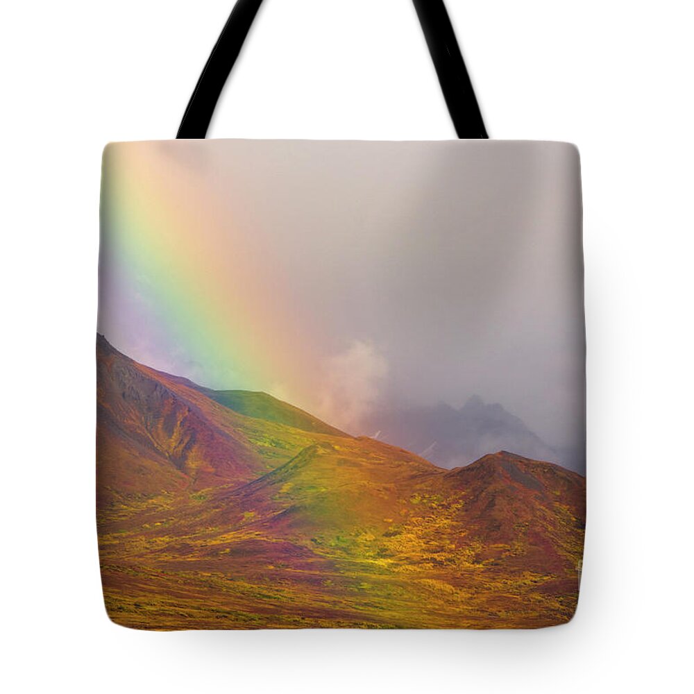 00431055 Tote Bag featuring the photograph Rainbow Over Fall Tundra in Denali by Yva Momatiuk John Eastcott