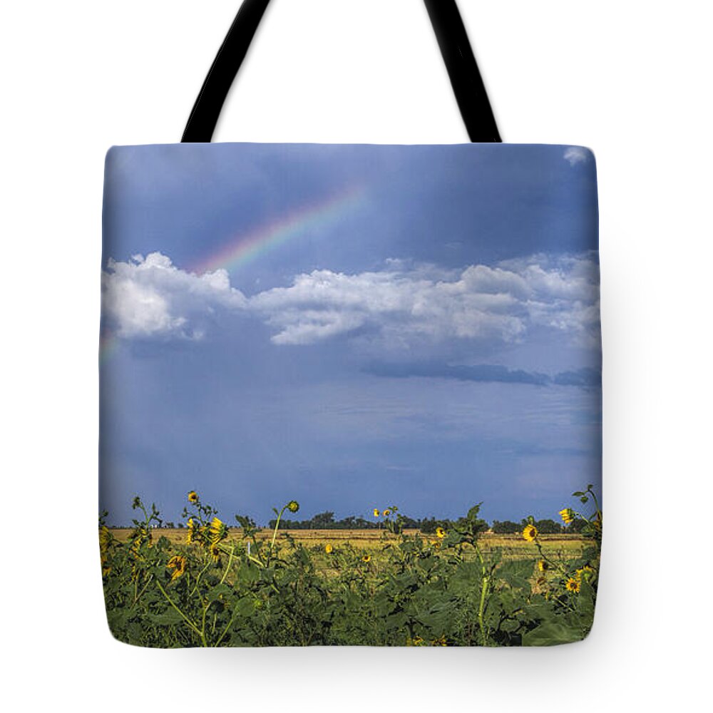 Kansas Tote Bag featuring the photograph Rainbow over sunflowers by Rob Graham