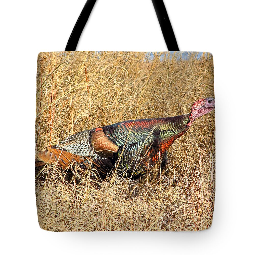 Turkey Tote Bag featuring the photograph Rainbow Turkey by Shane Bechler