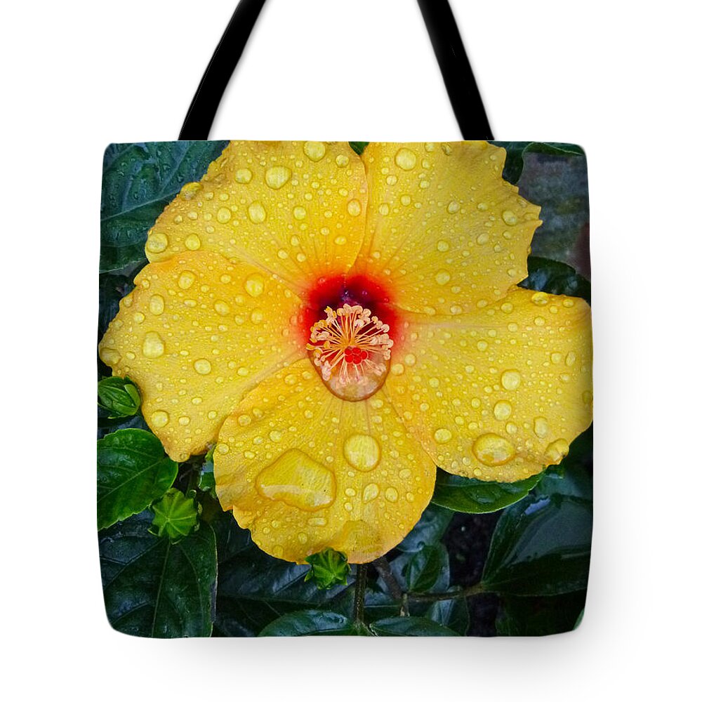 Flower Tote Bag featuring the photograph Raindrops by Ellen Paull