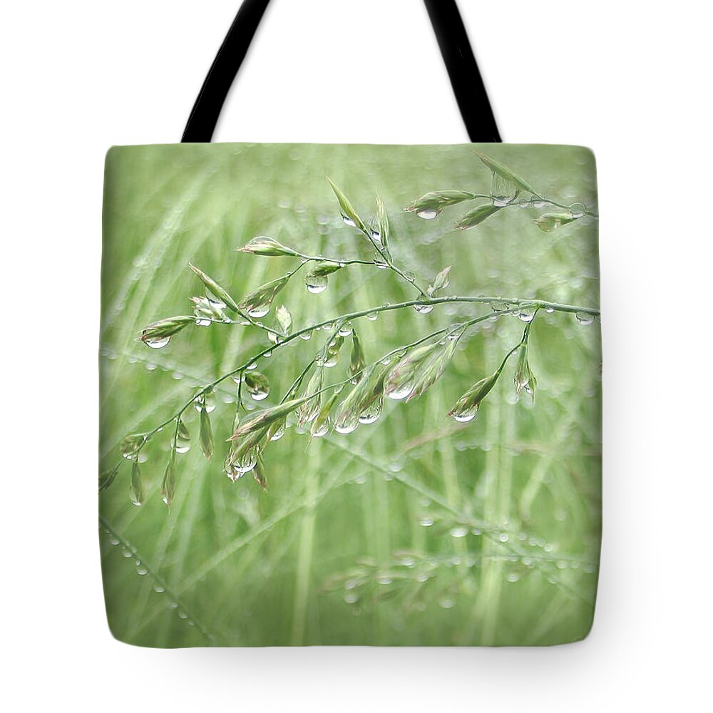 Grass Tote Bag featuring the photograph Raindrops Falling on Green Grasses by Jennie Marie Schell