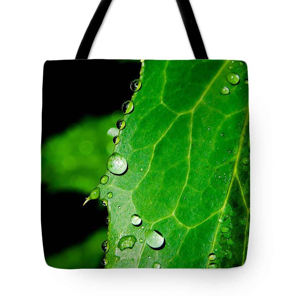 Raindrops Tote Bag featuring the photograph Raindrops On Green Leaf by Andreas Berthold