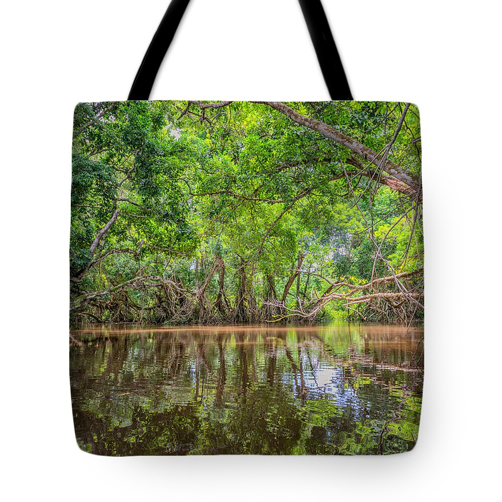 Africa Tote Bag featuring the photograph Rainforest Trees, Odzala National Park by James Steinberg