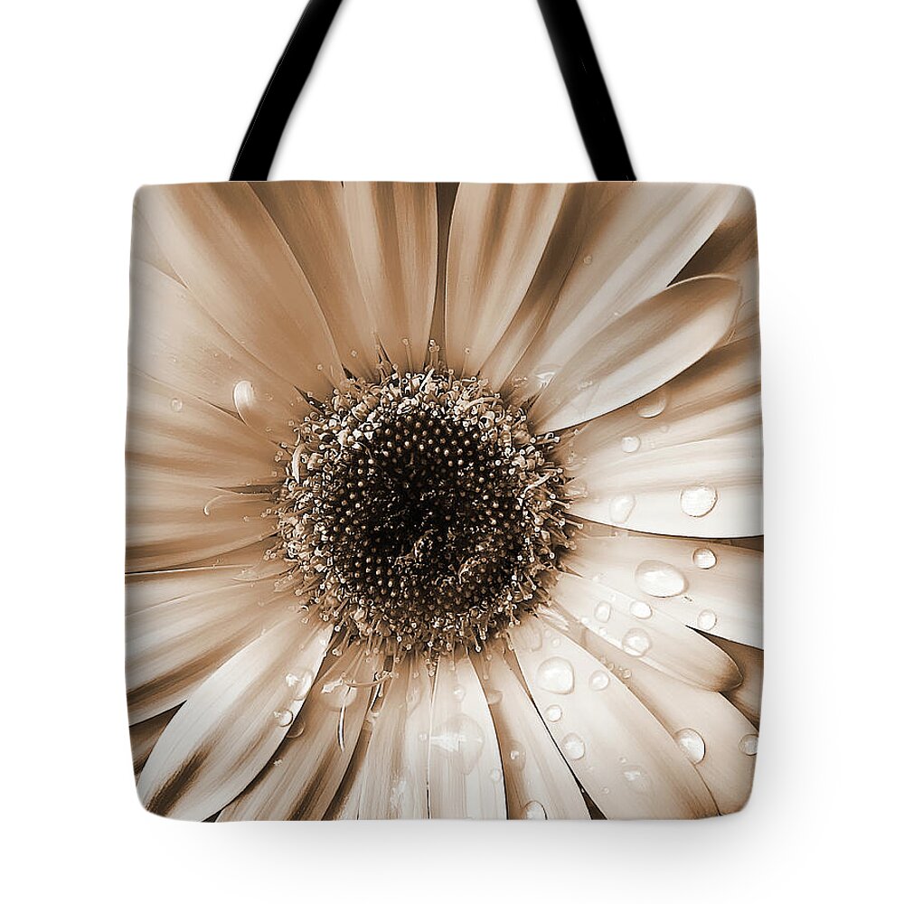 Daisy Tote Bag featuring the photograph Raindrops on Gerber Daisy Sepia by Jennie Marie Schell