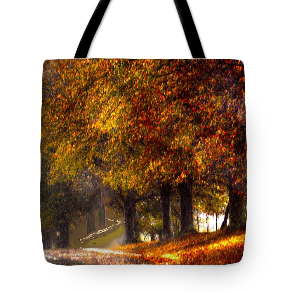 Rainy Day Tote Bag featuring the photograph Rainy Day Path by Lesa Fine
