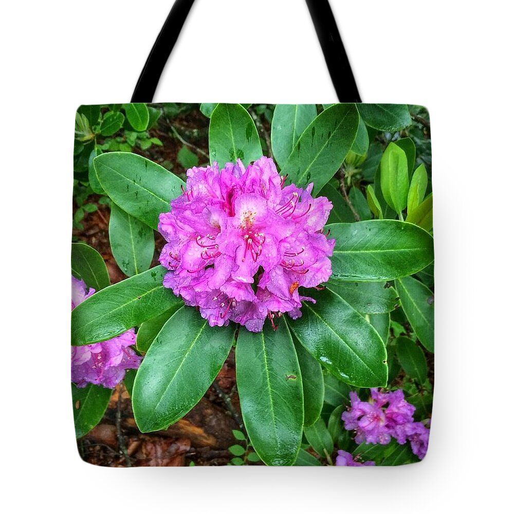 Rhododendron Tote Bag featuring the photograph Rainy Rhodo by Chris Berrier